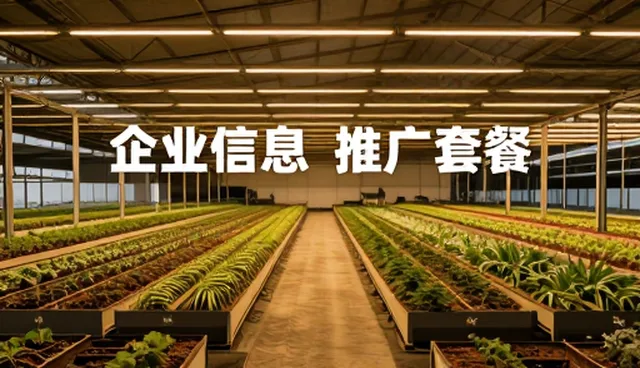信息整合如何驱动本地客户拓展新路径